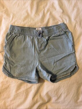 The Children's Place Light Blue Elastic Waist Shorts